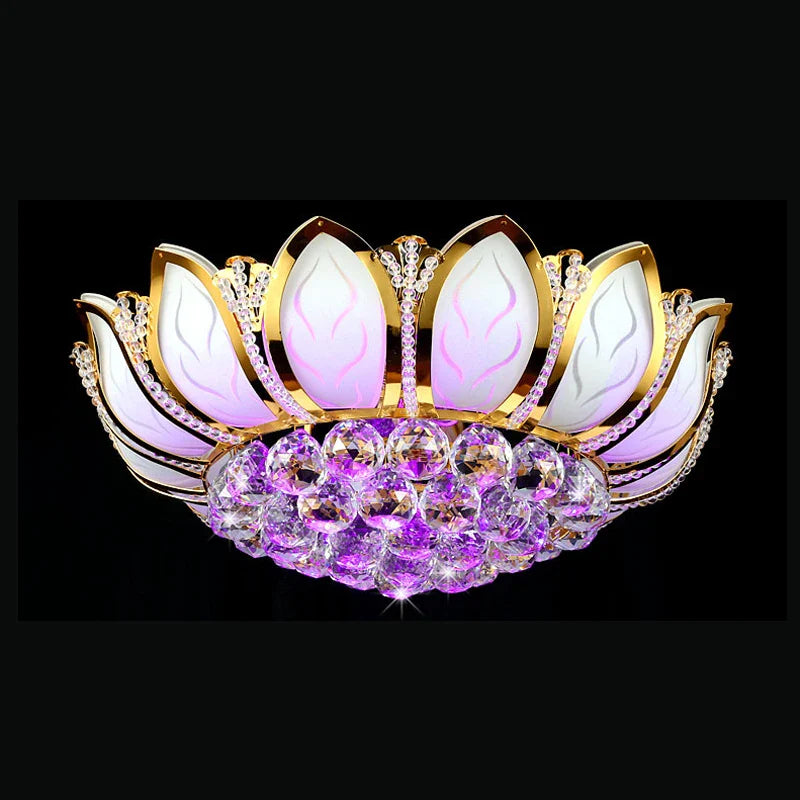 Ceiling Light